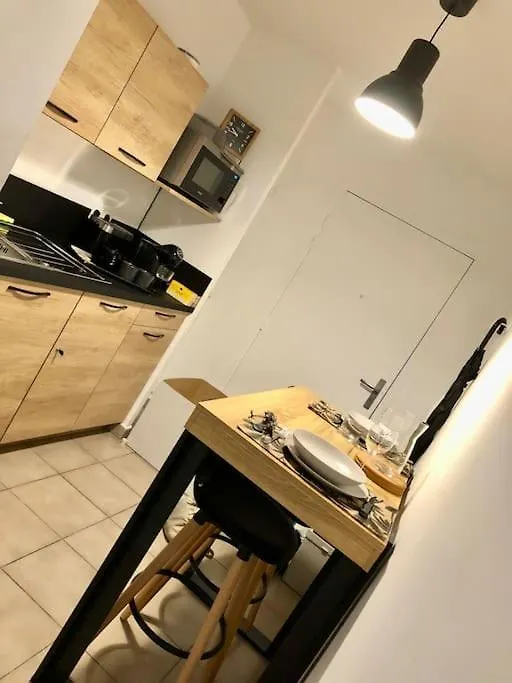 Apartment Studio Cosy, Lyon, Avec Garage Prive France