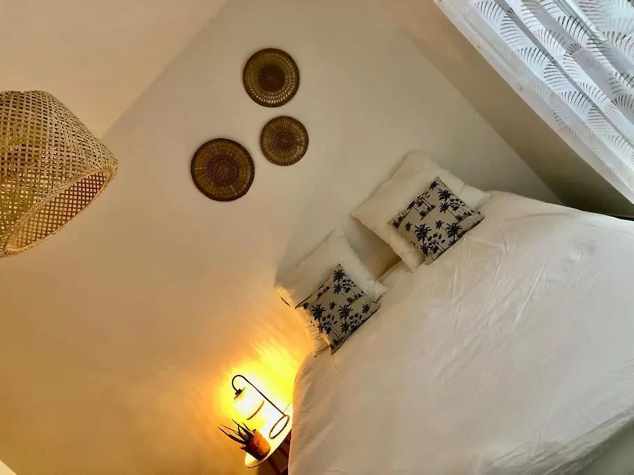 Studio Cosy, Lyon, Avec Garage Prive Apartment
