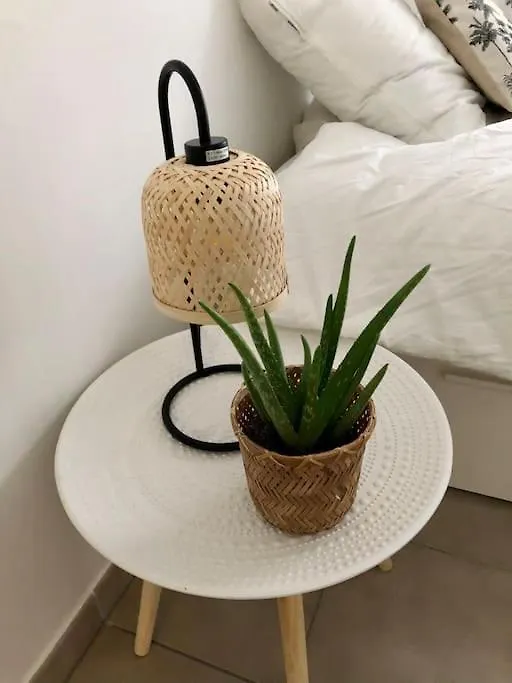 Apartman Studio Cosy, Lyon, Avec Garage Prive